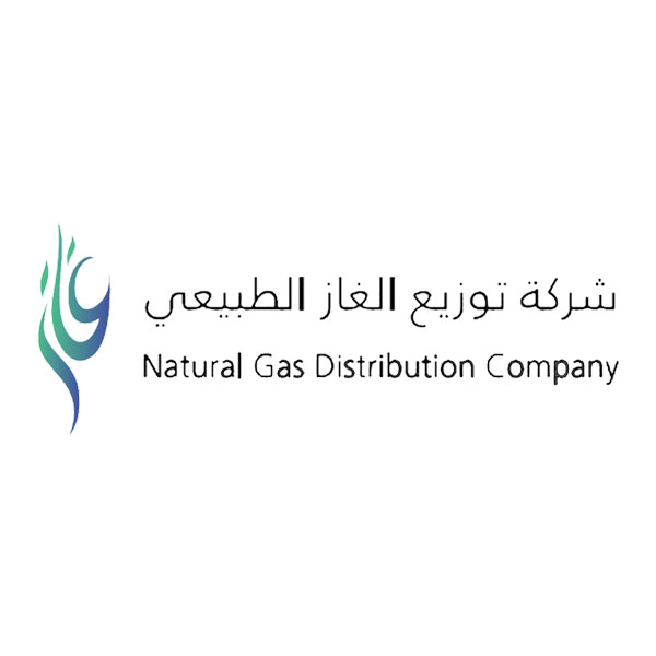 NGDC logo