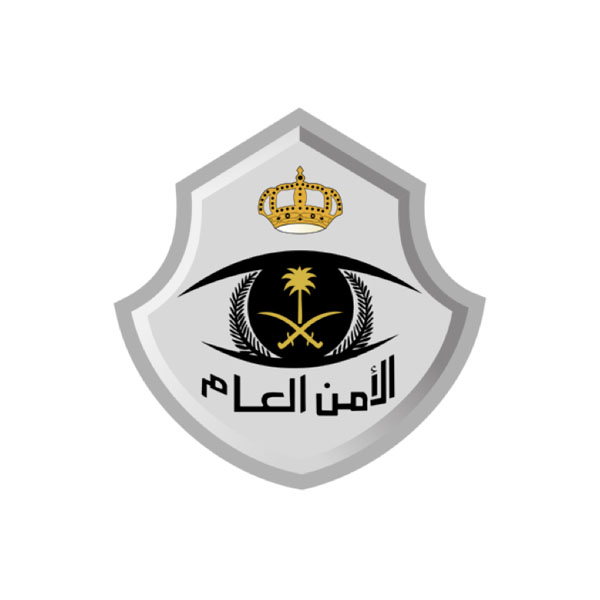 Public Security logo